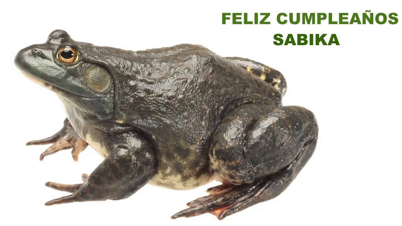 Sabika  Animals & Animales - Happy Birthday