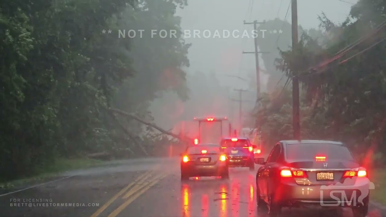 08-07-2023 Baltimore, Maryland  - Severe Thunderstorm, Damage