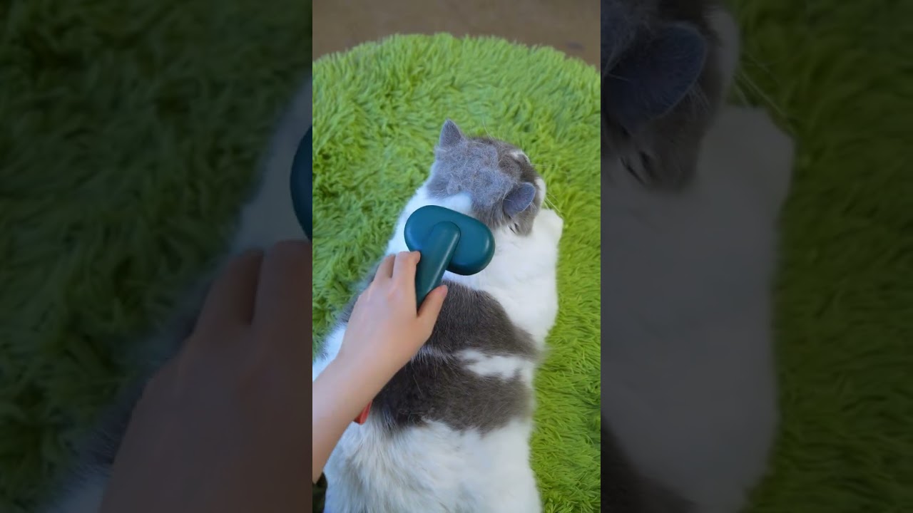 The Most Satisfying Cat Shedding Brush Ever