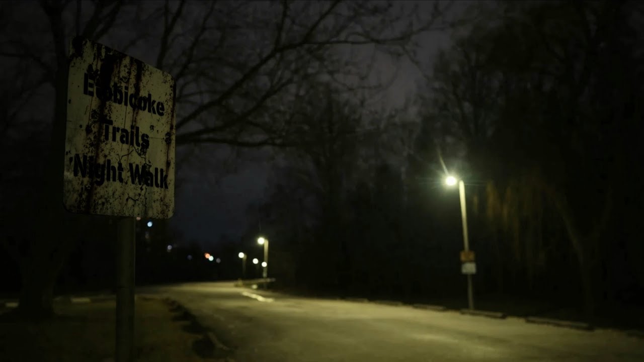 Etobicoke Trails, Ontario [Winter Night Walk]