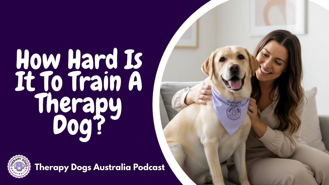 S4:E7 How Hard Is It To Train A Therapy Dog?