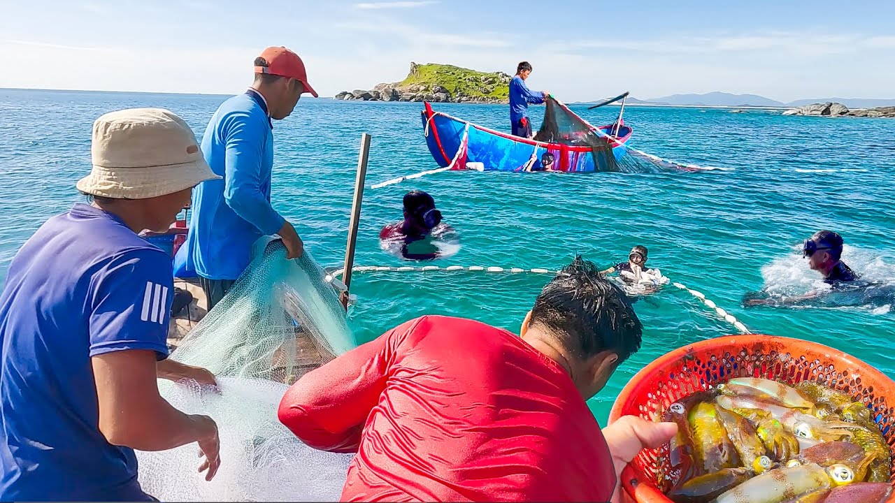 Nghề Lưới Lặn Mực Lá Xuân Thạnh Bình Định║Hấp Dẫn Từng Mẻ Mực Vô Lưới