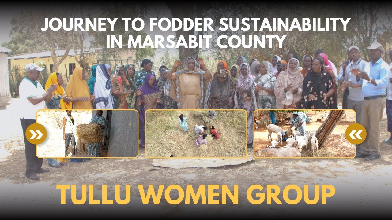 Tullu women Sowing Seeds of Change| Marsabit County