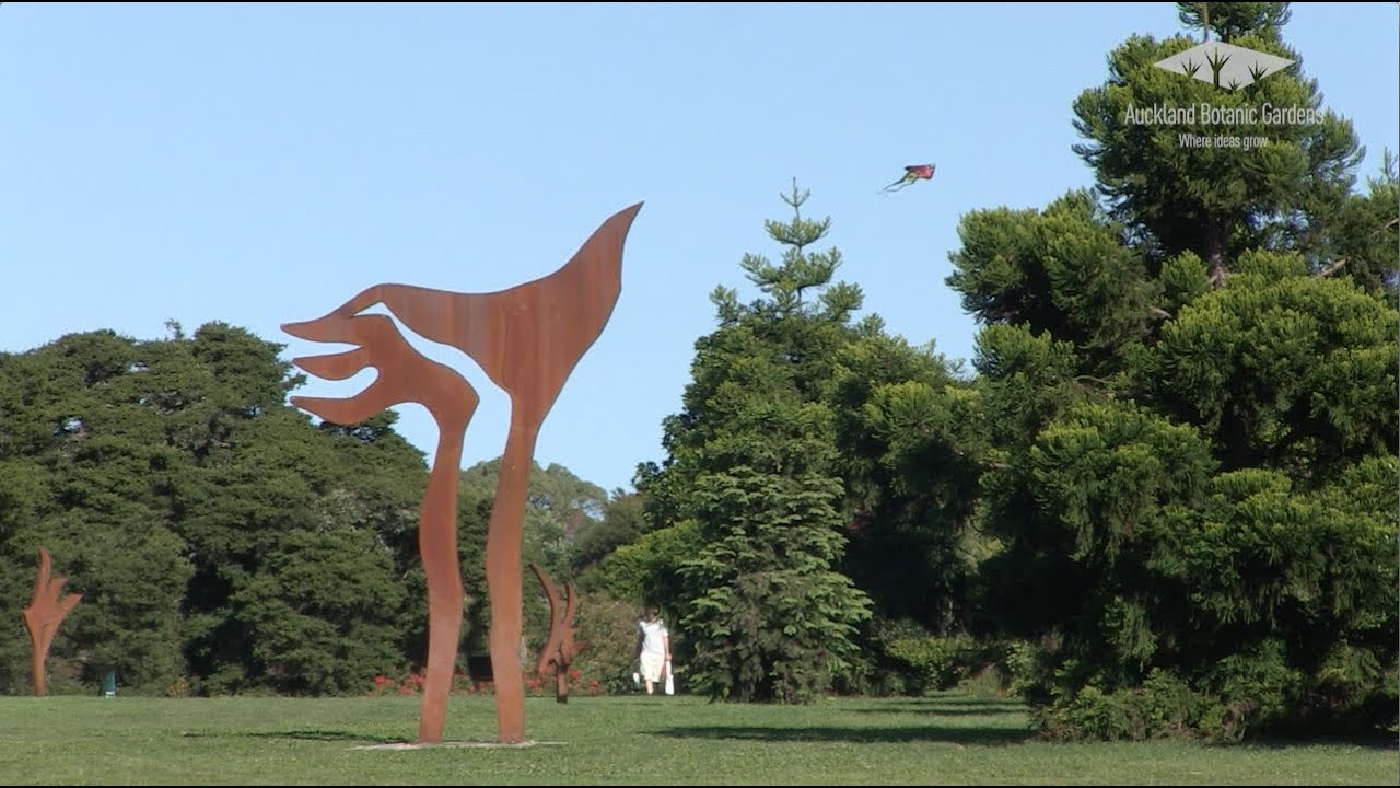 The Gondwana Arboretum - Overview