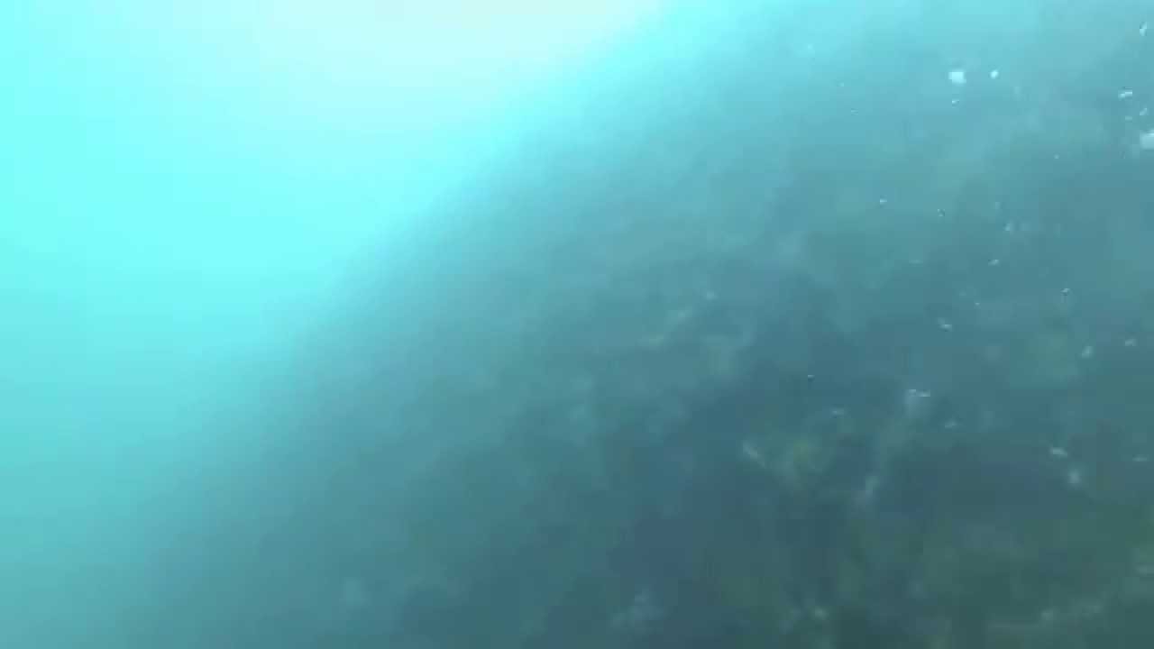 Museum Ship Battleship MISSOURI Hull Cleaning 7-2014
