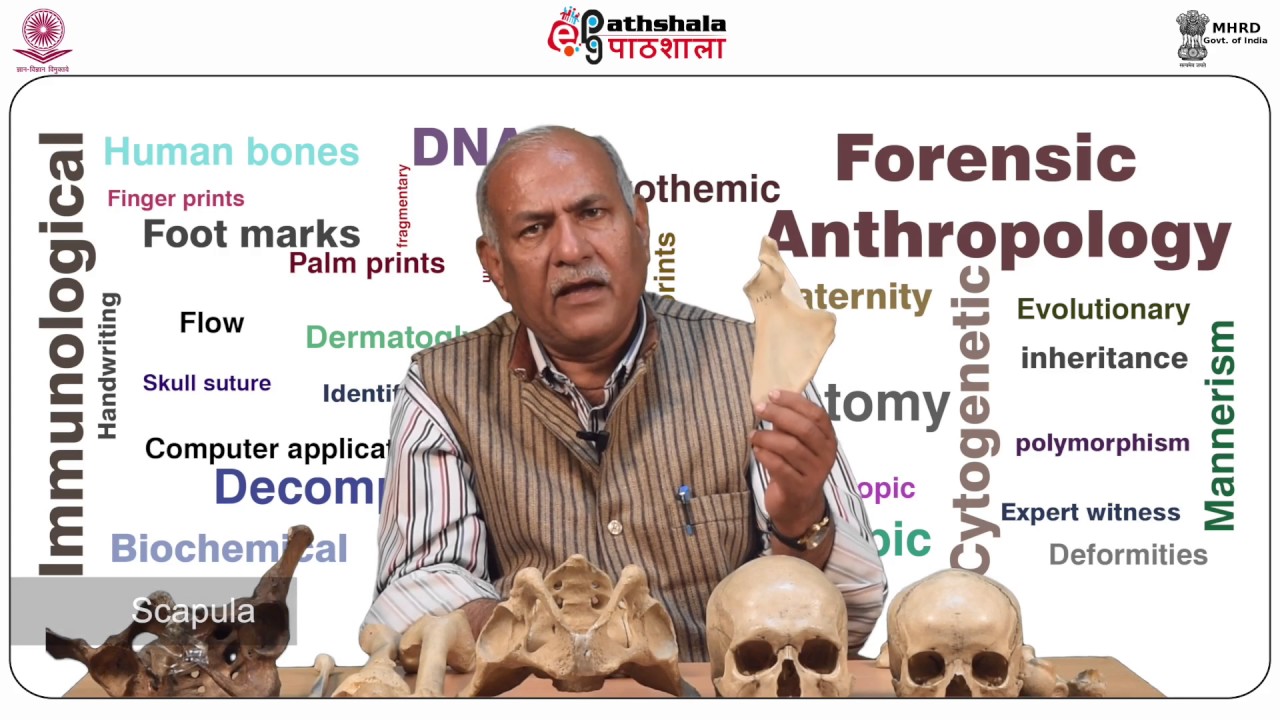 Establishment of identity through skeletal remains (ANT)