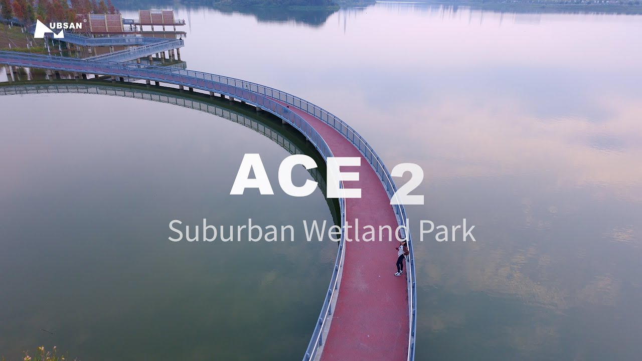 HUBSAN ACE2 Aerial Photography of Suburban Wetland Park