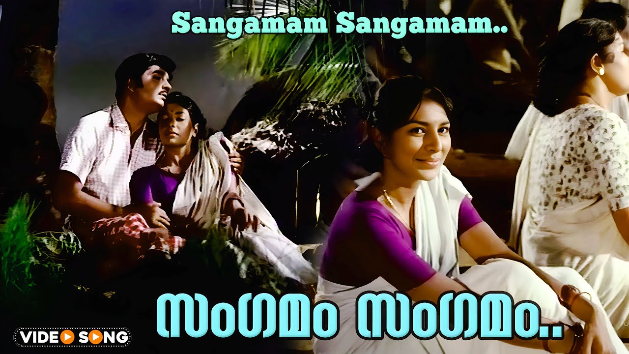 Sangamam sangamam thriveni sangamam | Thriveni | Vayalar - Devarajan combo | Premnazir | Sharada