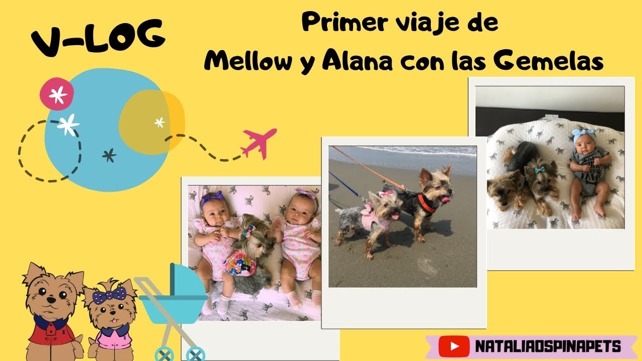 Cartagena en Familia - Primer viaje de Mellow y Alana con las gemelas