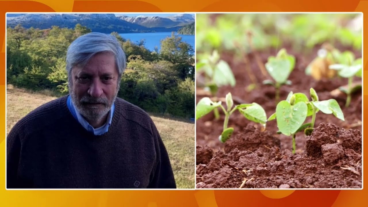 Siembra de soja en el chaco paraguayo