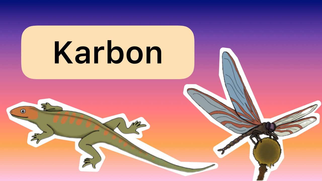 Das Karbon (Pal&auml;ozoikum Teil 5)