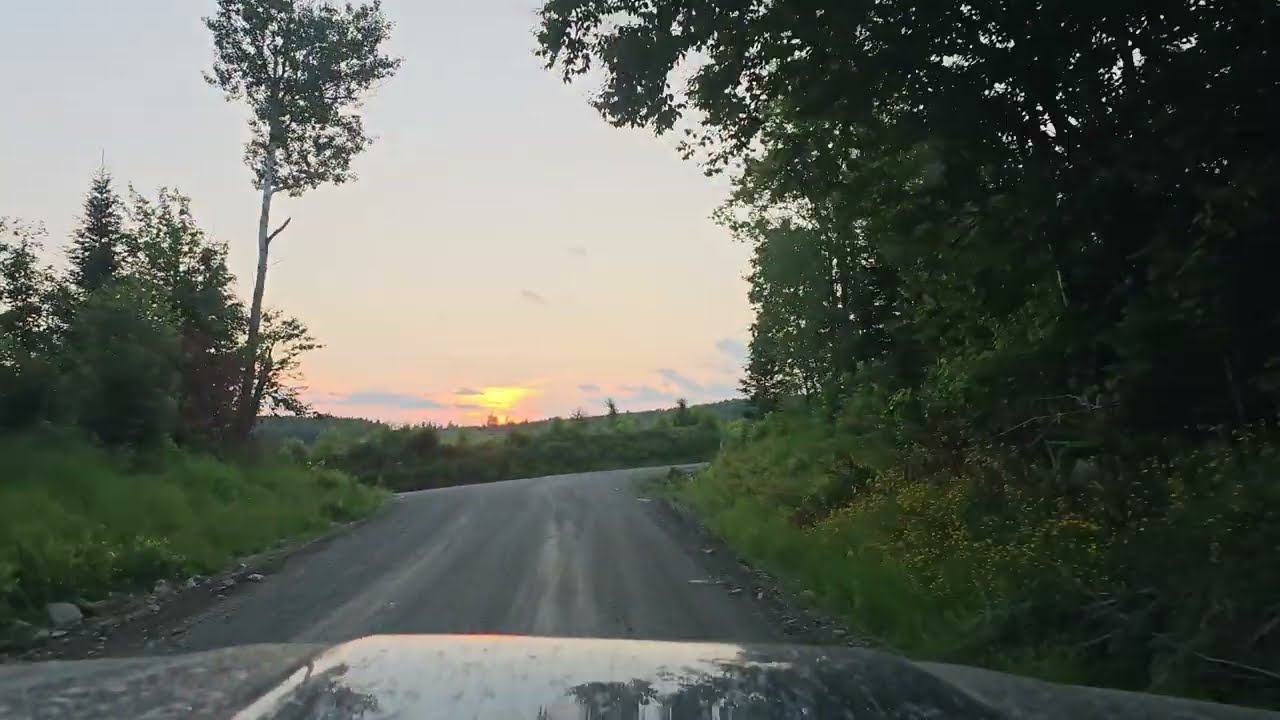 post 10 Moose Tour Northern Maine Vlog