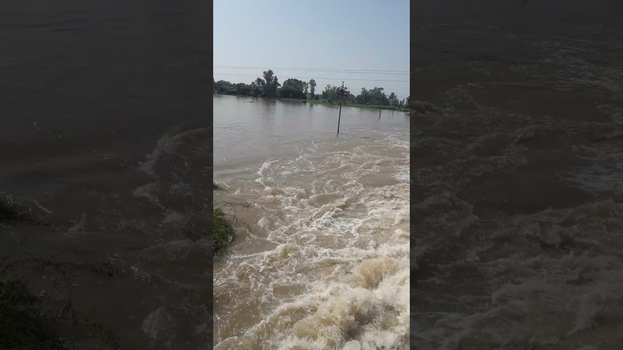 Punjab de jalandhar de pinda da hoya bura hall ( Flood 2019)