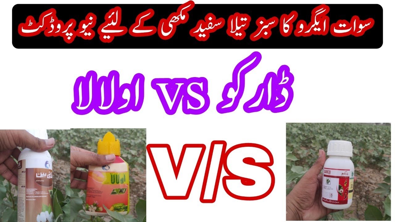 Sawat agro new products DARCO  for White fly and jassid || O lala Vs Darco Comparison