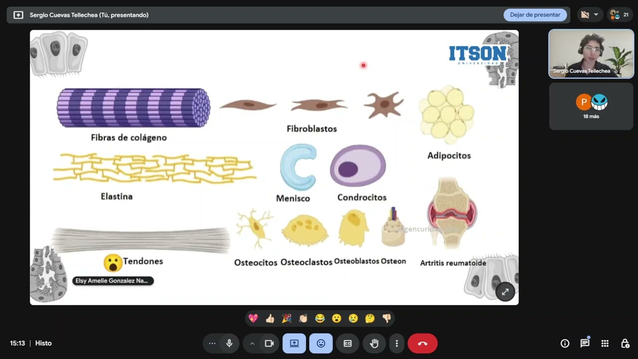 Introducción Tejido al Conectivo