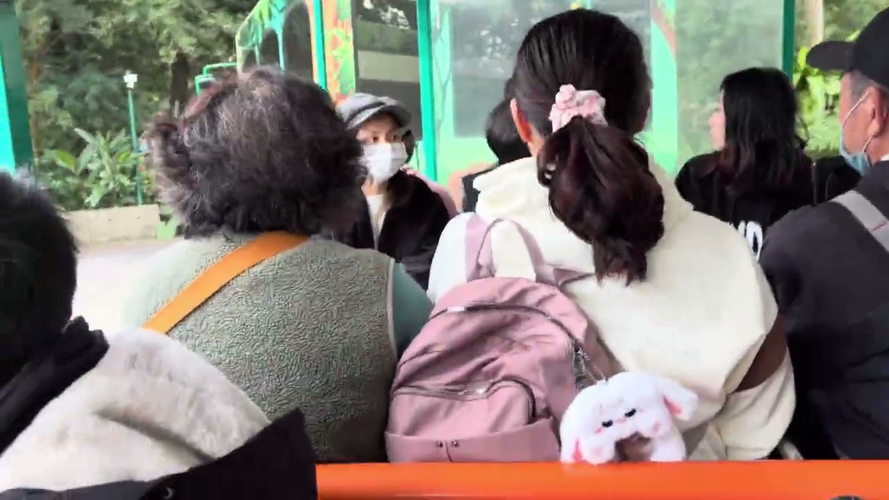 台北木柵動物園 遊園車 2026/2/19