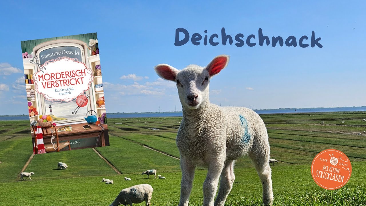 Bücher, Wolle und ein Schnack am Deich - Der kleine Strickladen Wolle