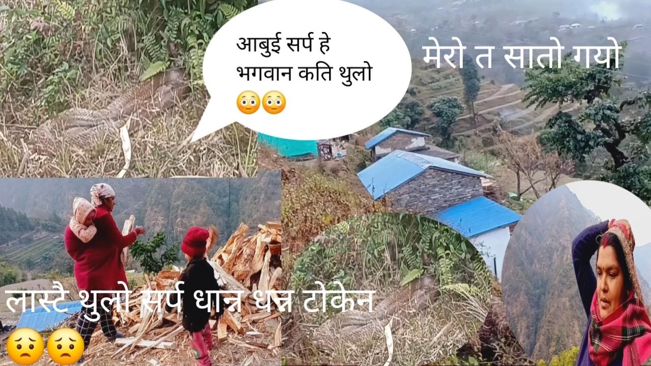 राम राम सर्प देखेर मत  बिहोस होला जस्तो भयो 😳😳