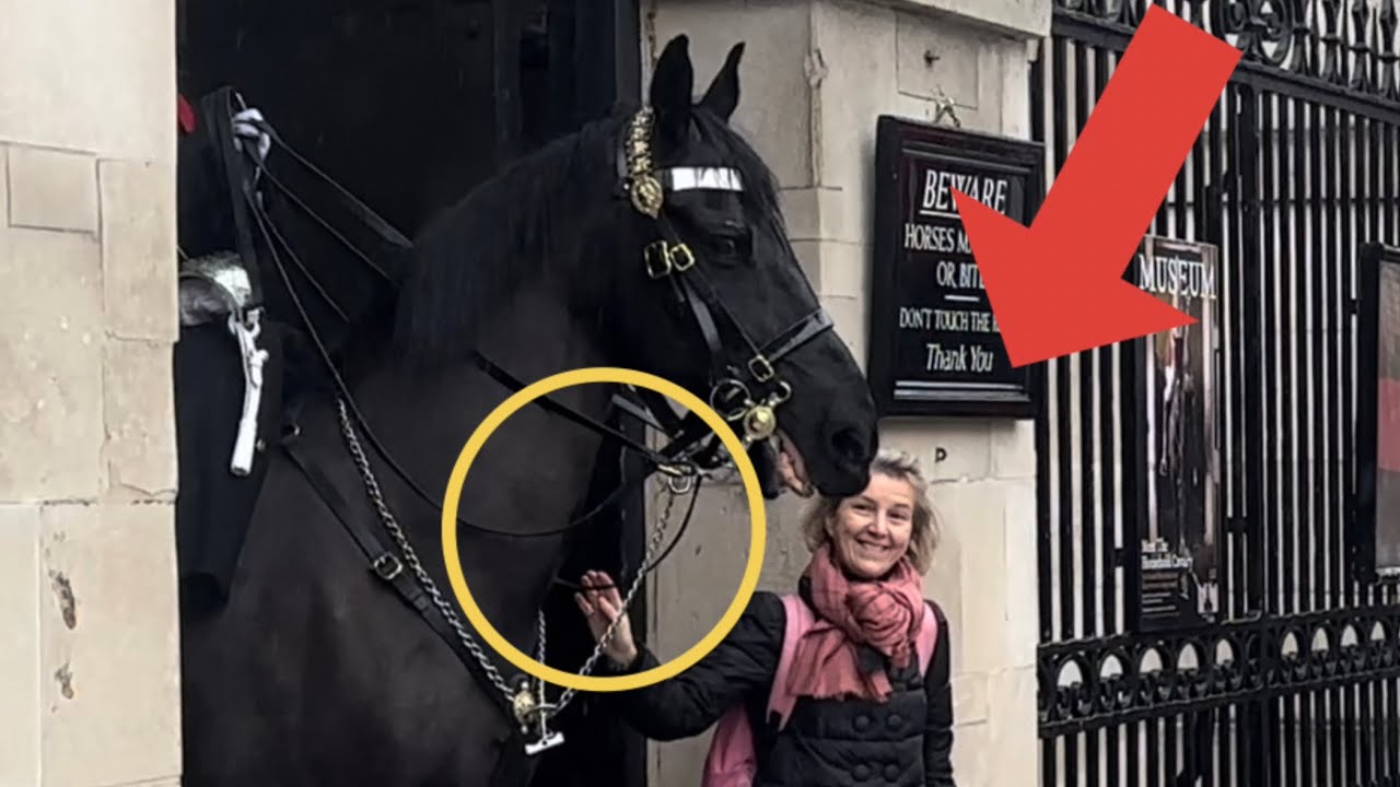 King’s guard Has Had Enough with this idiot!!