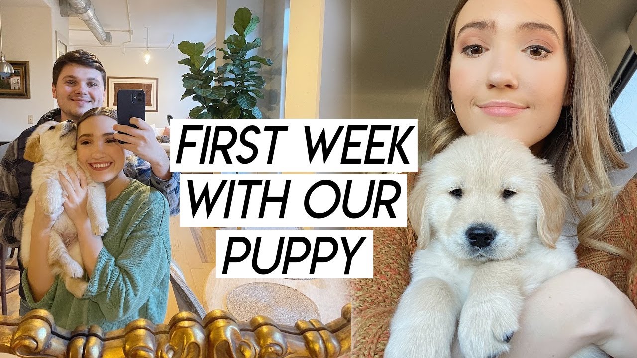 WEEK IN MY LIFE | first week with our golden puppy and texas winter storm outages!