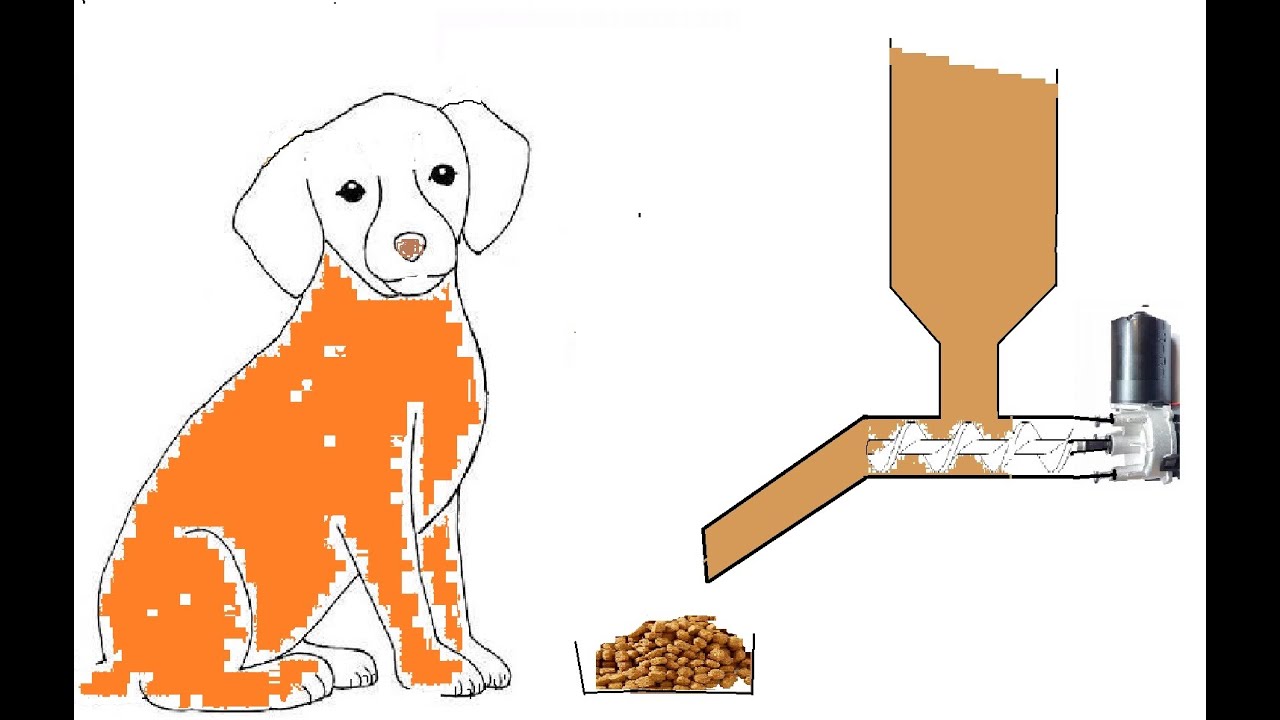 Köpek Yemleme Makinesi  / 2018 yılından beri sorunsuz çalışıyor