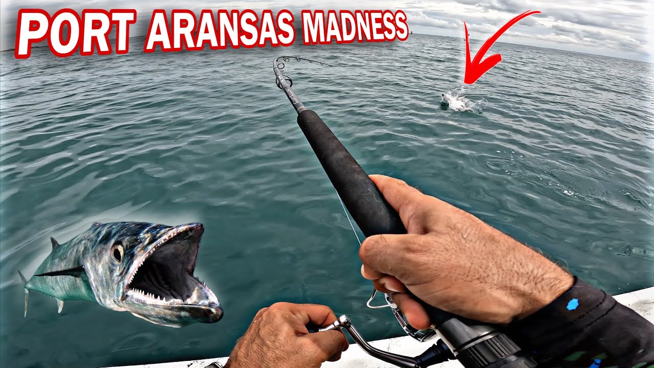 INSANE Feeding Frenzy At Port Aransas Jetty (KING Mackerel Everywhere)