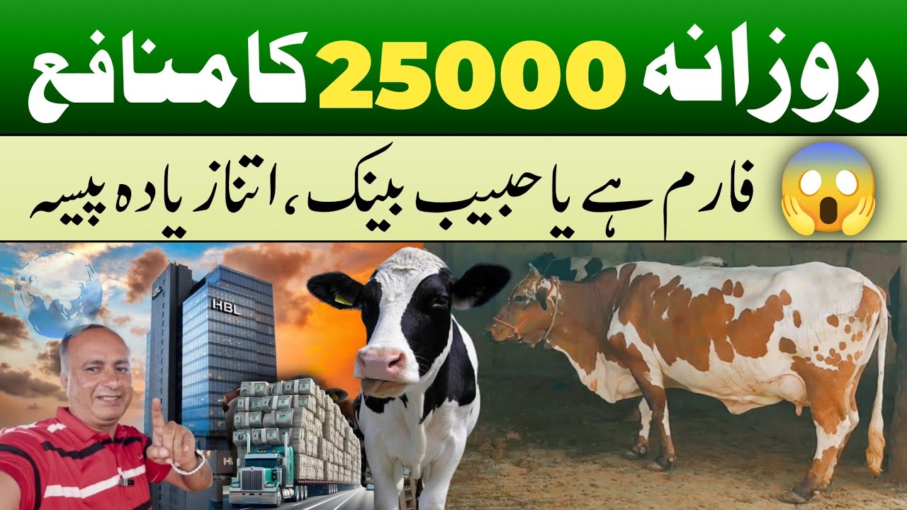 Unbelievable! 😱 25,000 Daily Profit 💰 from Dairy Farming 🐄