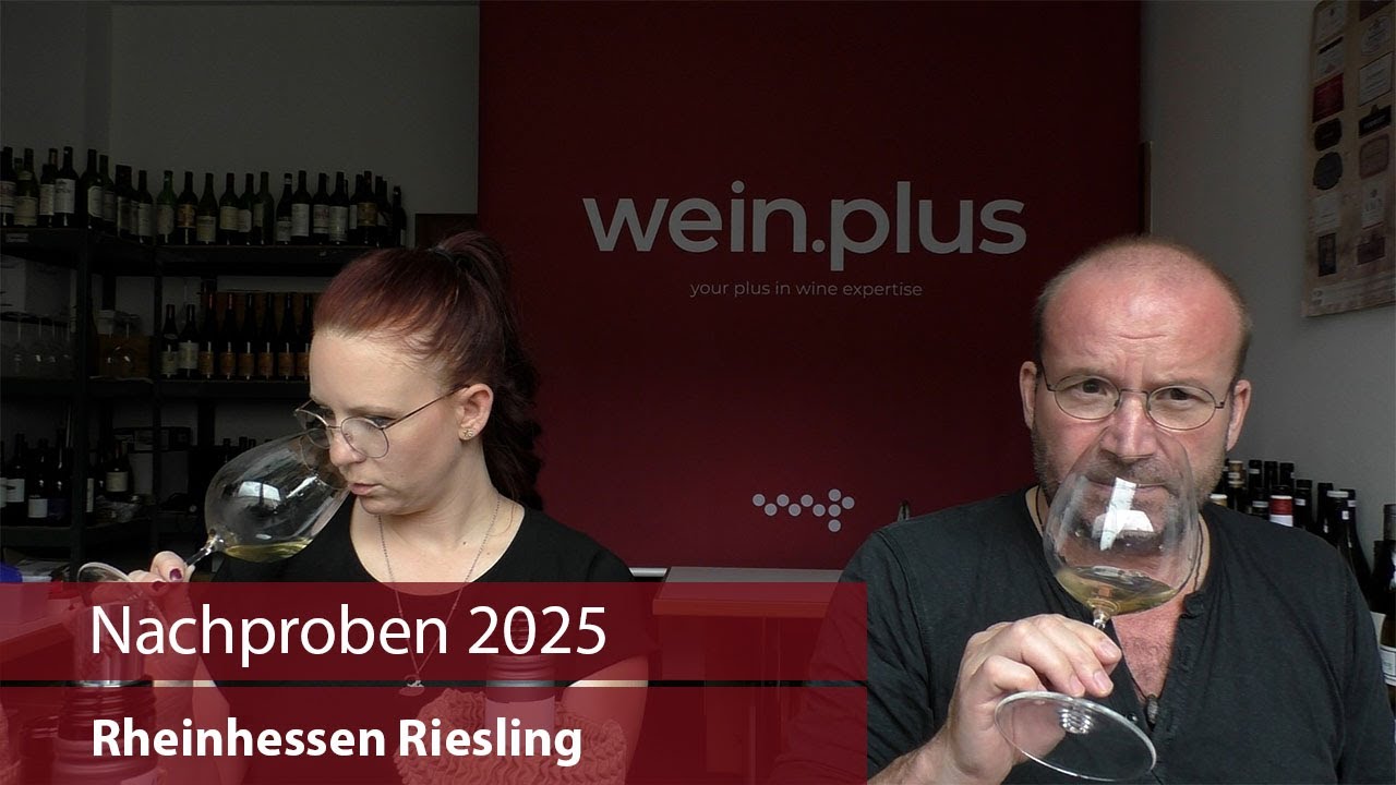 Nachproben 2025 | Rheinhessen Riesling
