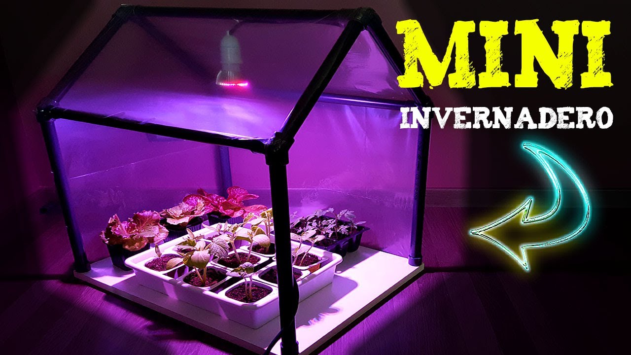 Cómo Hacer un MINI INVERNADERO CASERO Para Germinar Semillas o Hacer Esquejes.
