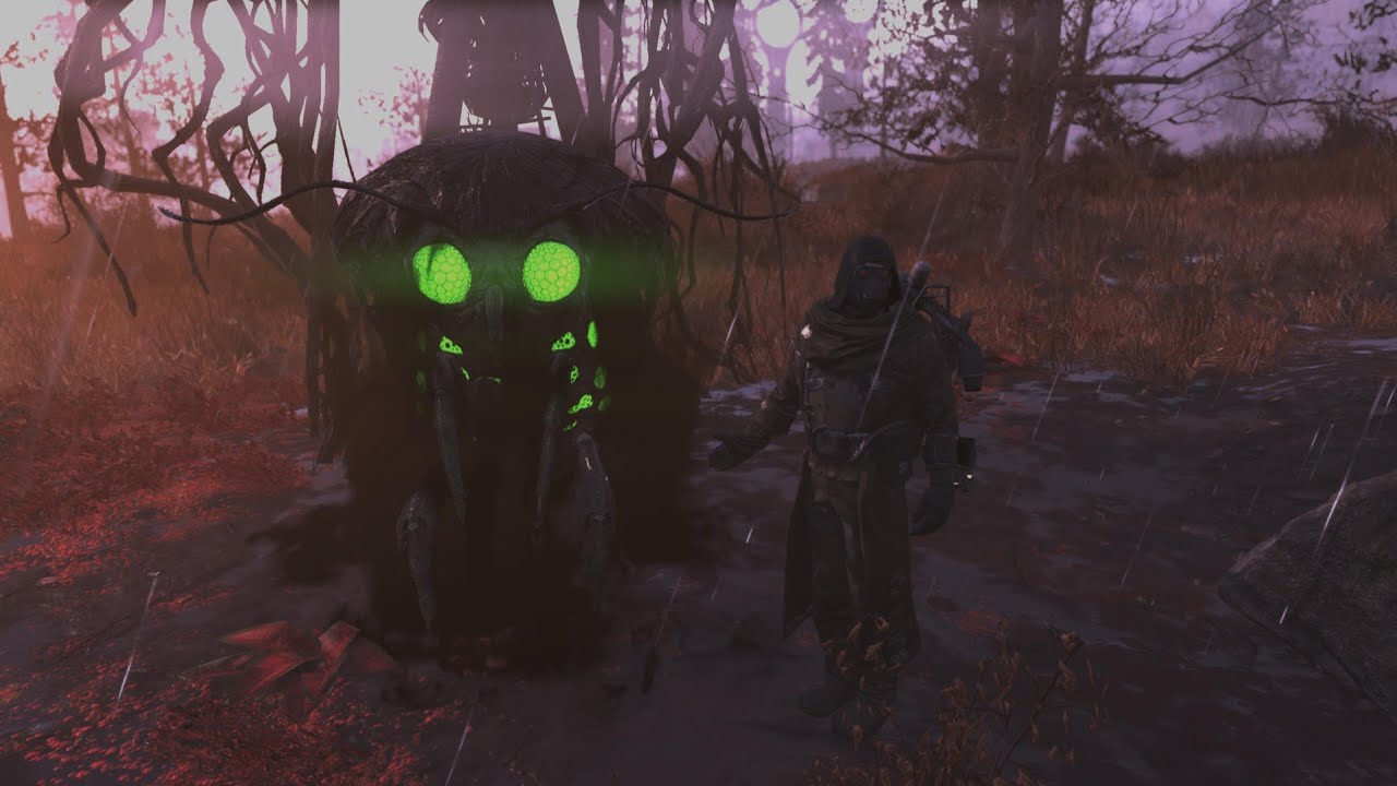 Fallout 76 Quad Black Powder Weapon Showcase