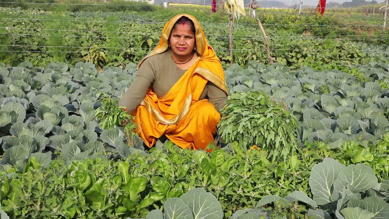 आरयन से भरपूर देशी सांग || Bathua ki sabji || Bathua Ka Saag