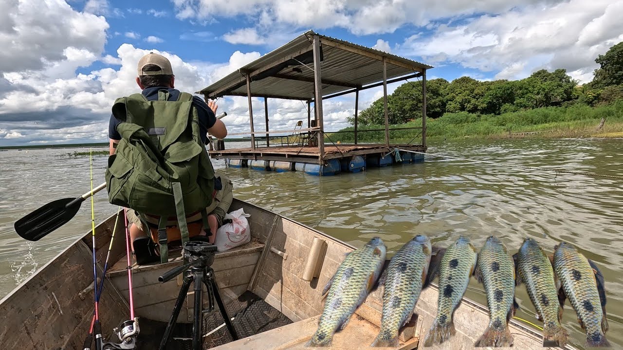 Pescaria de tilápia e PIAU pescando a mais de 200 quilômetros de casa!