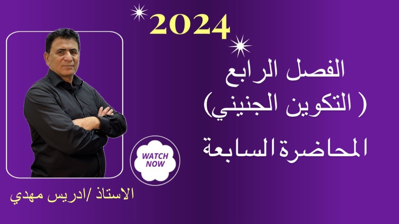 الفصل الرابع | التكوين الجنيني| المحاضرة السابعة| 2024