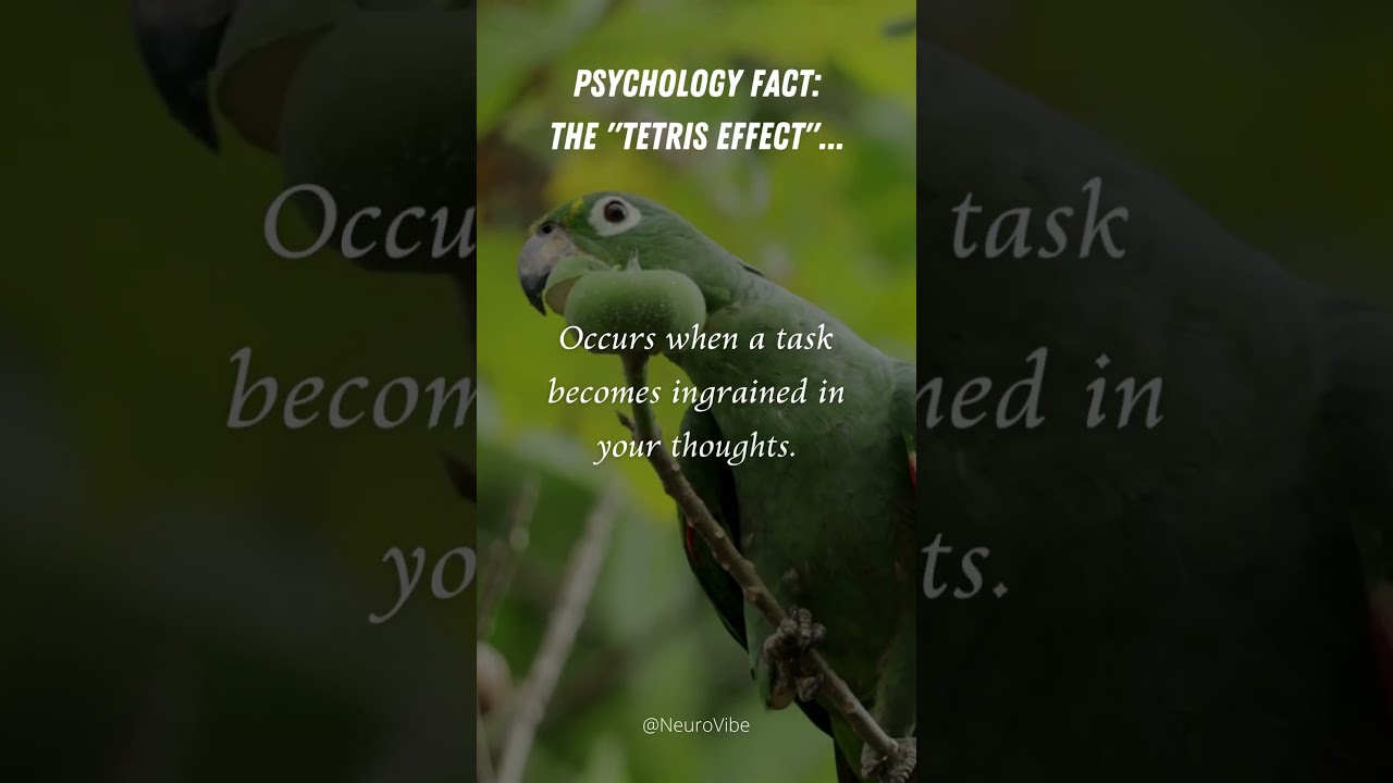 The Tetris Effect: When Your Mind Plays Games #psychology #brainscience #positivepsychology