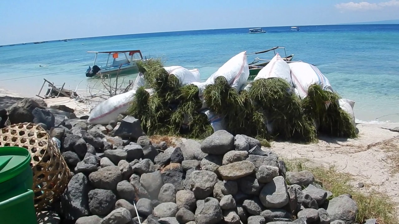 Gili Meno a walk along the seaside to Seri Resort August 2016 HD