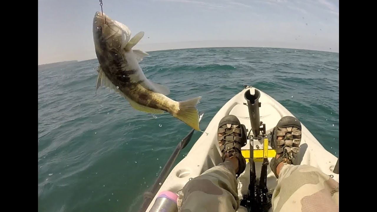 How to kayak fish Southern California (Marina del Rey) 2 of 2.