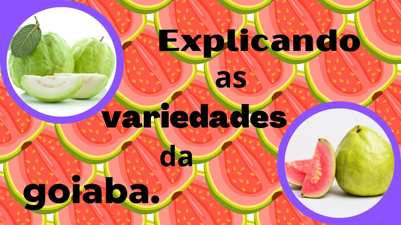 🥝🌽🌳 EXPLICANDO AS VARIEDADES DA GOIABA.