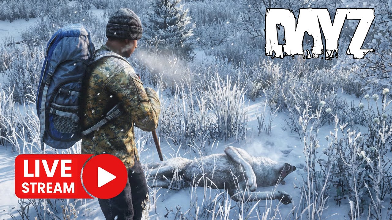 Zima nadchodzi do DayZ!