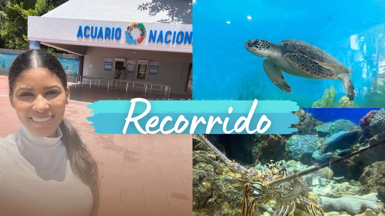 Así es el Acuario en República Dominicana 