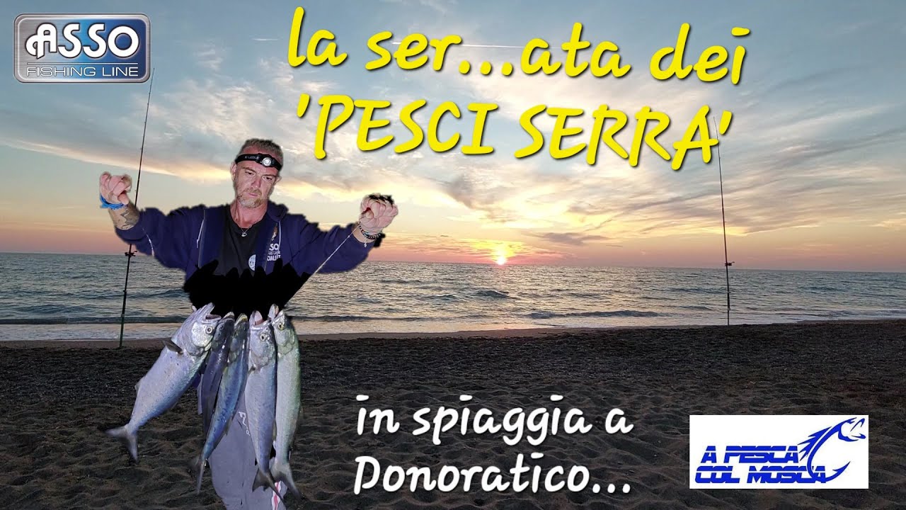 la serata dei Pesci SERRA: trancio di cefalo contro trancio di spigola!!!