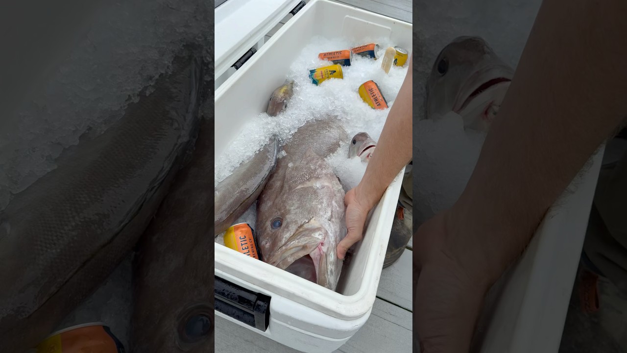 Zero waste fish processing with ​⁠