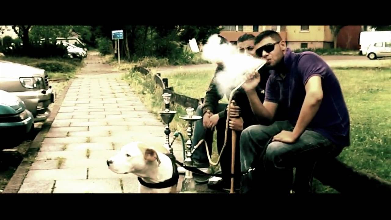 Trailer von KING LP51 - LIVE UND DIREKT