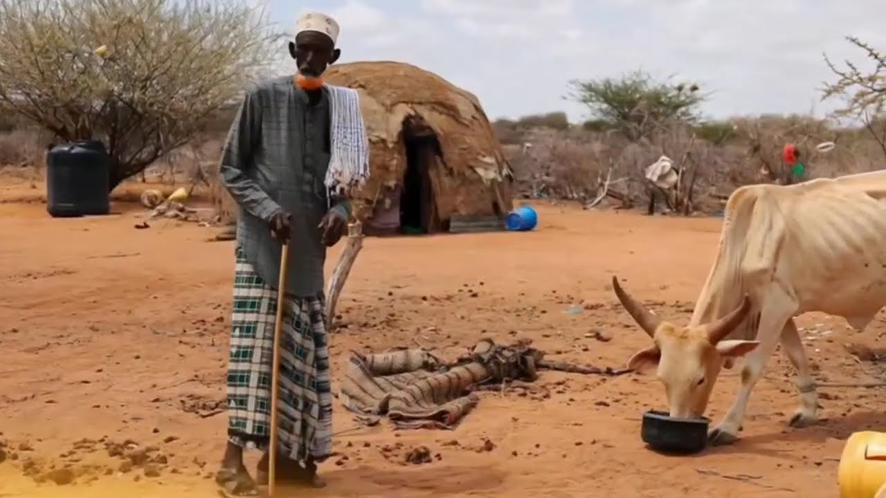 How Kitui County has borne the scars of drought, worsened by climate change and poor leadership