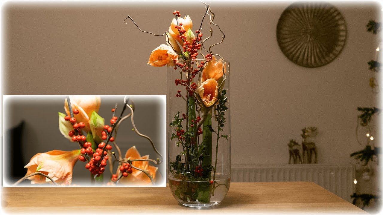 Deko im Glas mit Amaryllis |#22| zweiundzwanzigste Adventlesung