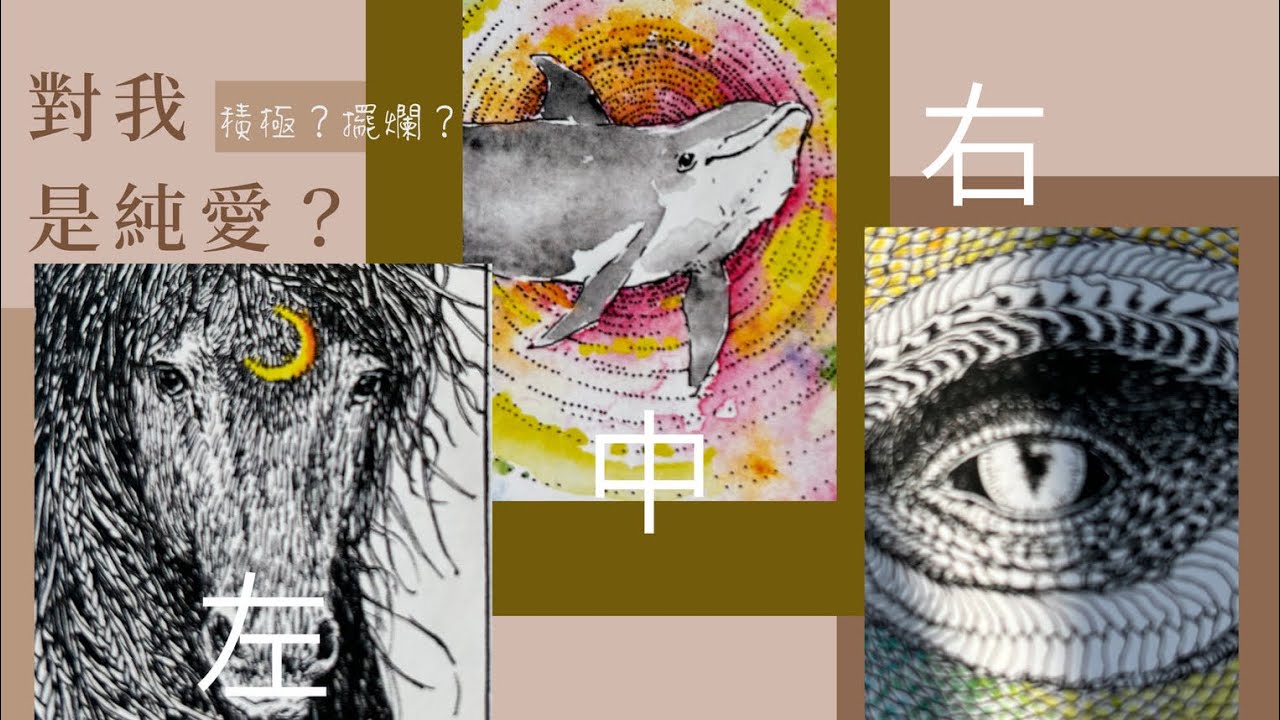 塔羅占卜🔮他對你是純愛or其他？足夠喜歡嗎？接下來他會積極行動，還是擺爛？