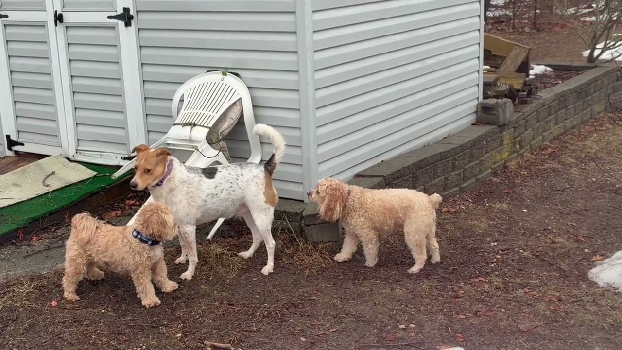Rainy day stroll (Nobody wants to play)