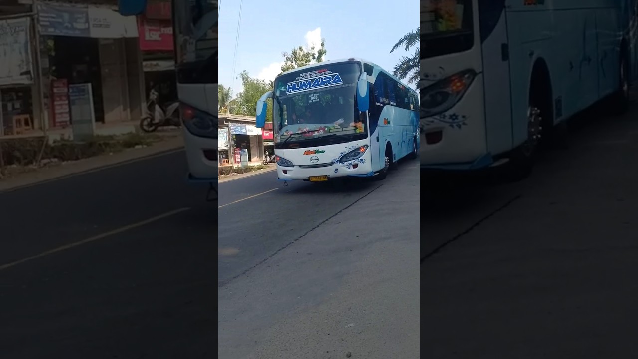 Telolet Alzifa Bus Abe Trans Humaira #alzifa #busmania