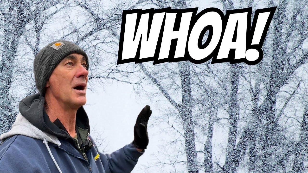 Arctic Blast Causes PANIC! The Hoarding Has Begun!