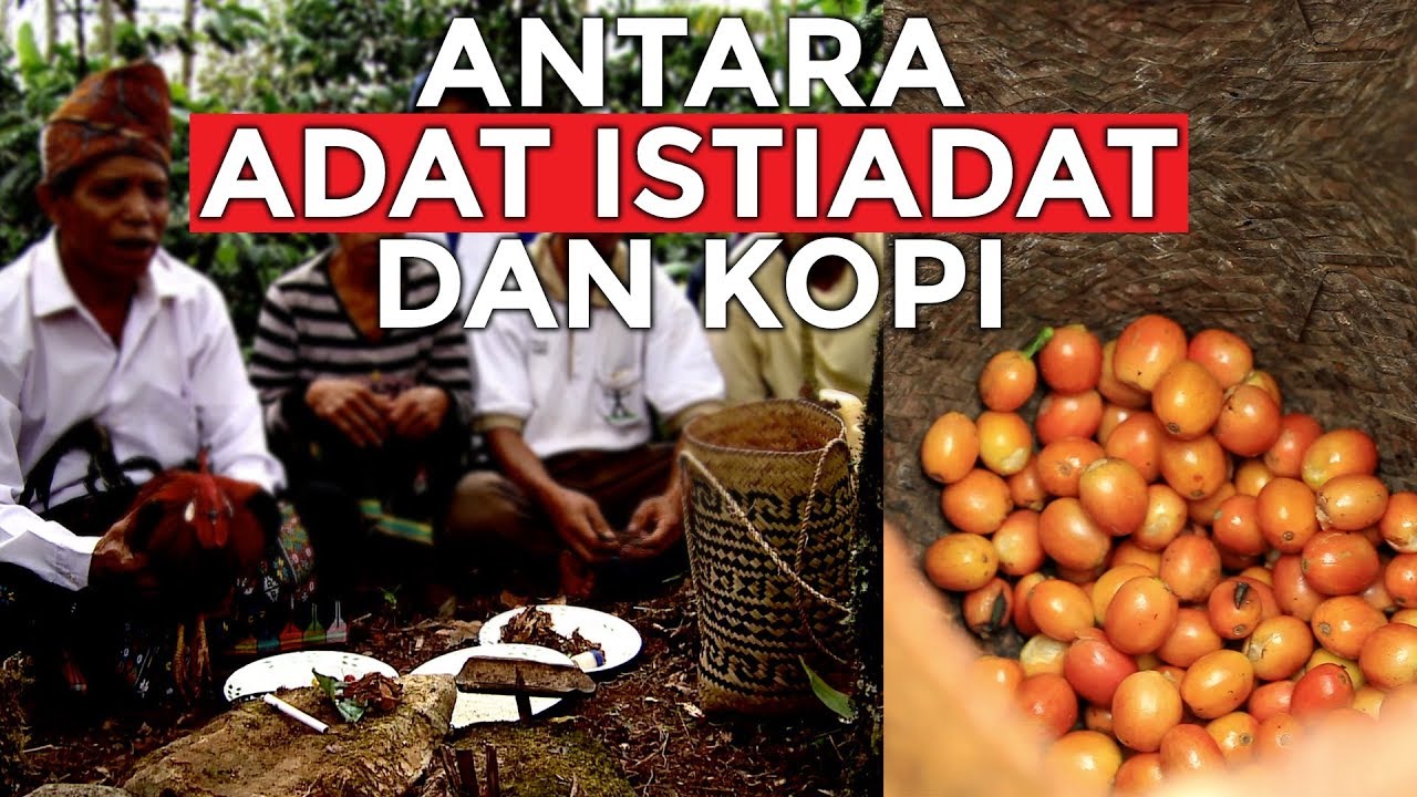 Sebelum Panen Kopi, Ini Ritual yang Dilakukan Warga Flores