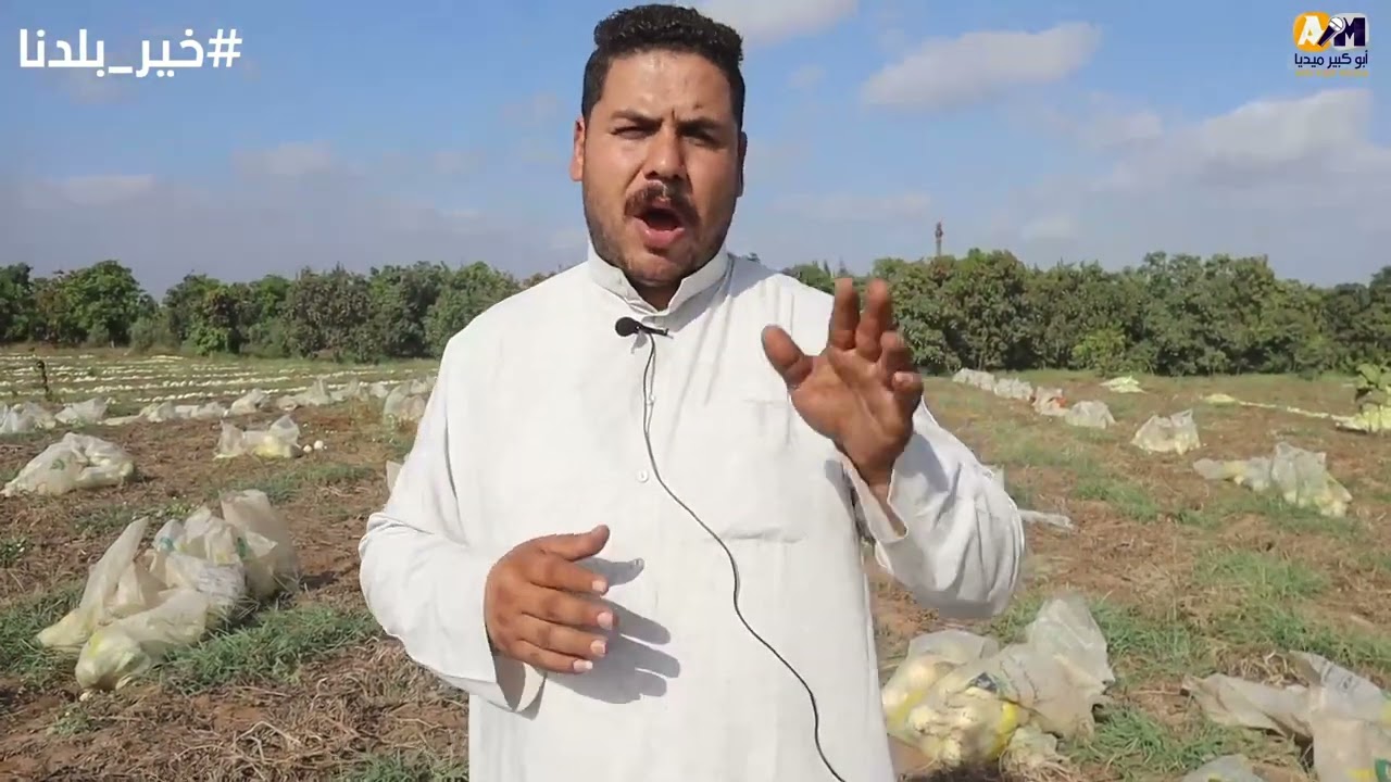 اللب السوبر 